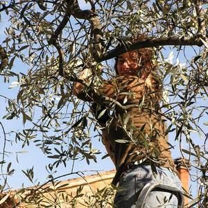 Meet your Posher, Robin